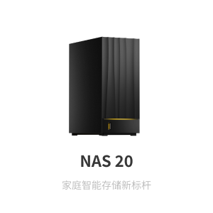 NAS 20
